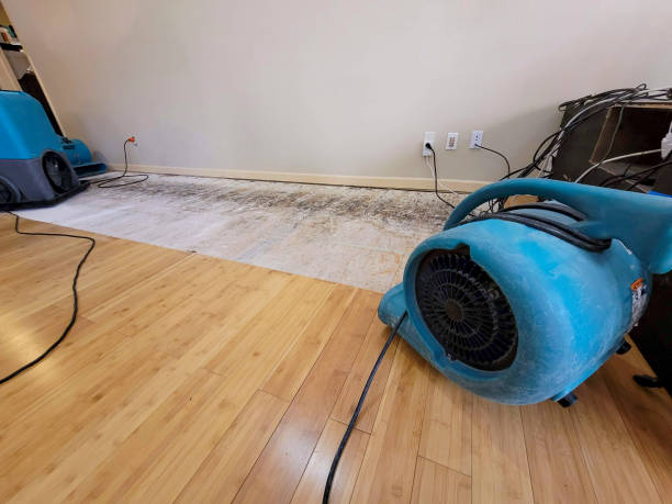 Professional Emergency Water Damage technician working in Mount Vernon, WA